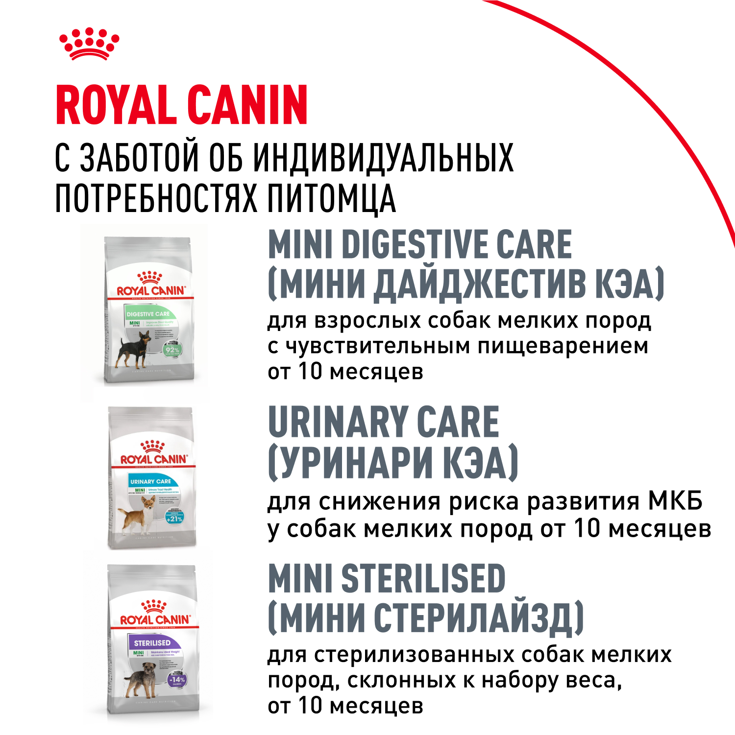 Корм для собак ROYAL CANIN породы чихуахуа 1.5кг - фото 10