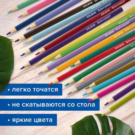 Карандаши цветные Brauberg 72 шт.