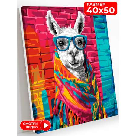 Картина по номерам Art on Canvas холст на подрамнике 40х50 см Стильная лама