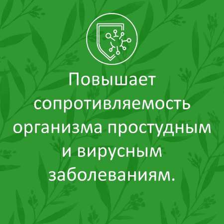 Сироп подорожника ФИТА-ВИТА-МИКС с корнем алтея и анисом от кашля для бронхов 100 мл