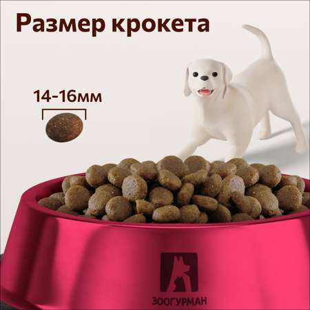 Корм сухой Зоогурман полнорационный для взрослых собак средних и крупных пород Big dog Птица MIX 10 кг