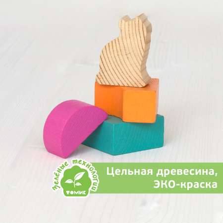 Конструктор деревянный детский Томик Цветной 45 деталей 1-33