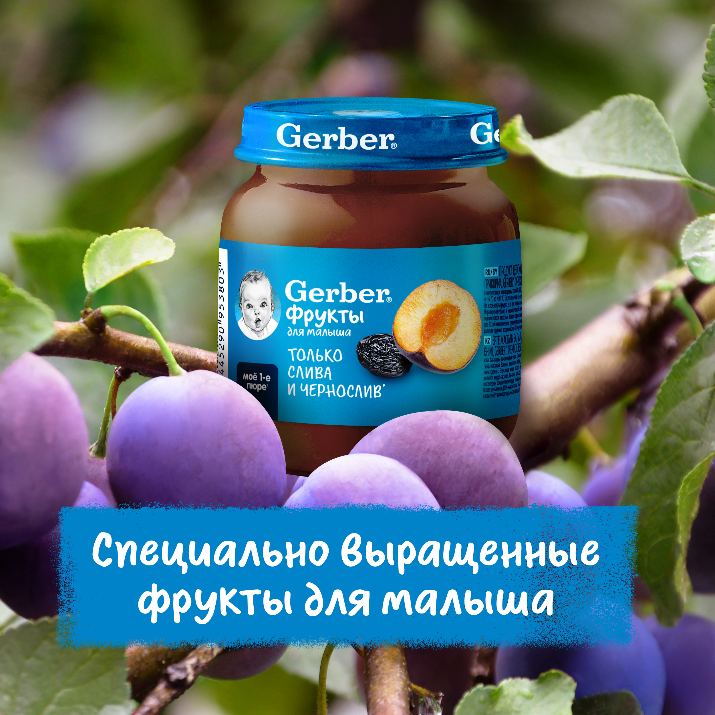 Пюре Gerber Слива Чернослив 125г с 5 месяцев - фото 5