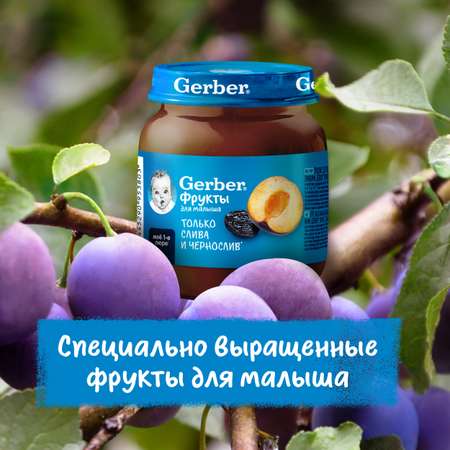 Пюре Gerber Слива Чернослив 125г с 5 месяцев