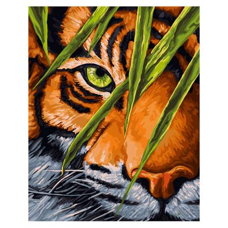 Картина по номерам Art on Canvas Тигриный глаз холст на подрамнике 40*50