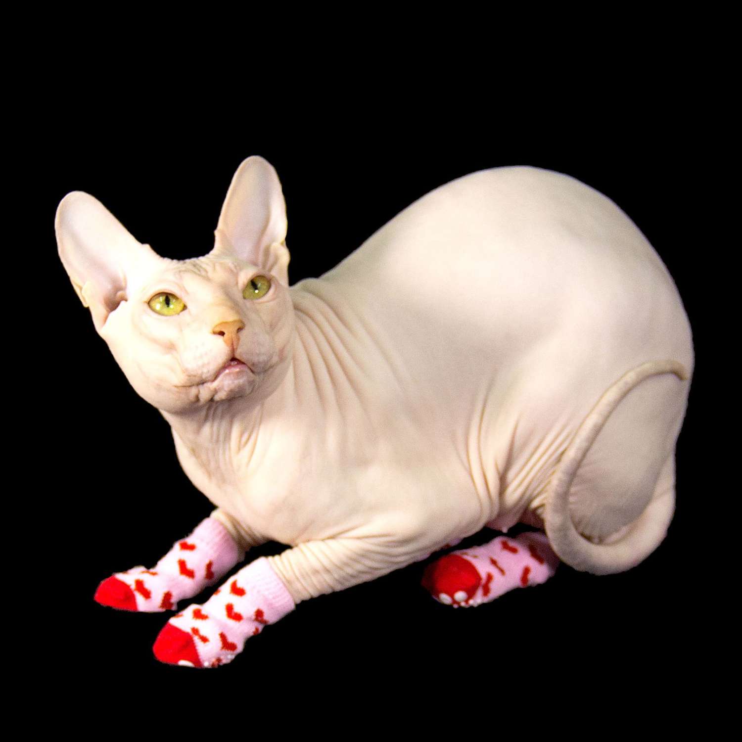 Носки для животных Пижон нескользящие «Сердечки» размер S 4 шт. розовые - фото 3