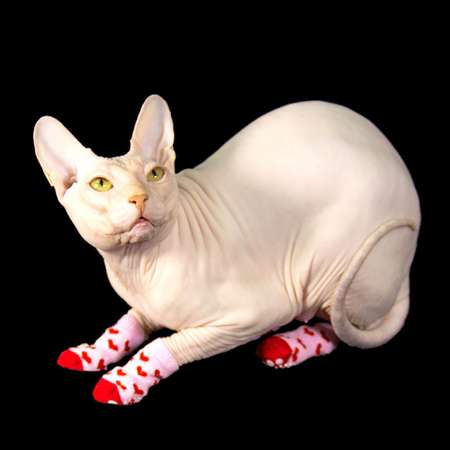 Носки для животных Пижон нескользящие «Сердечки» размер S 4 шт. розовые