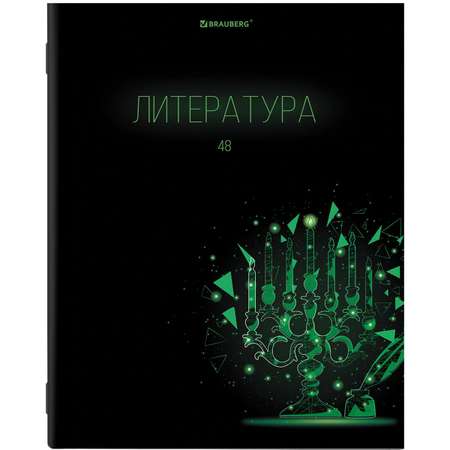 Тетради предметные Brauberg Dark со справочным материалом в клетку/линейку 12 шт 48 л