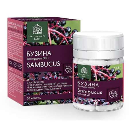 БАД Экстракт-ВИС Бузина (Sambucus nigra Standardized EXTRACT VIS) капсулы №30