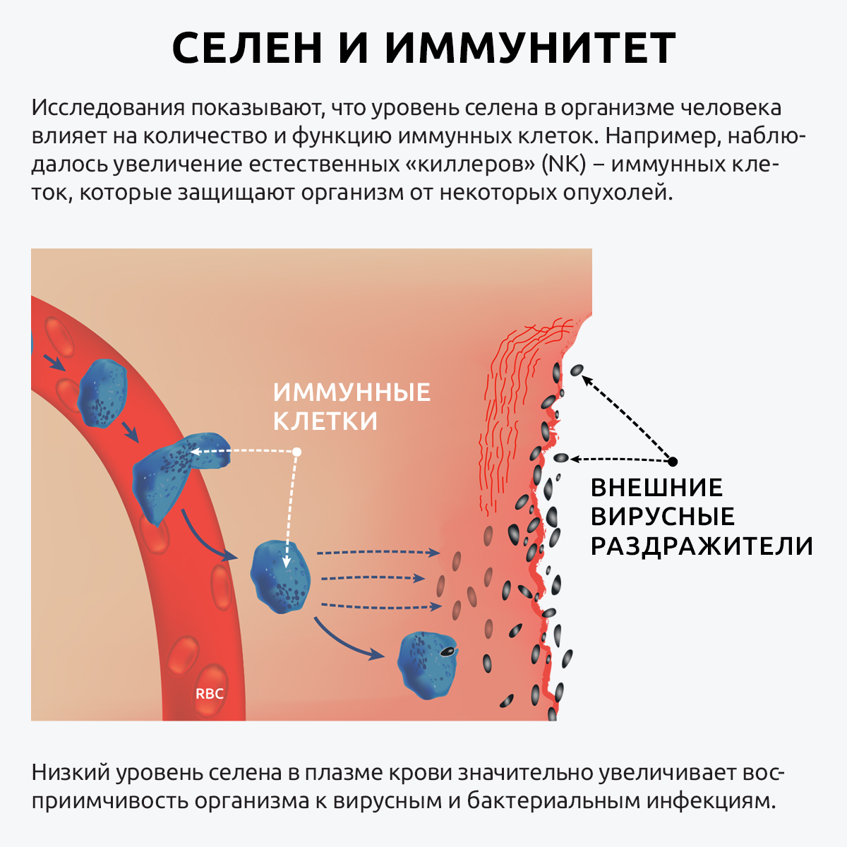 Комплекс Селен селект премиум UltraBalance для женщин и мужчин с биоперином Selenium Select BioPerine БАД 90 капсул - фото 6