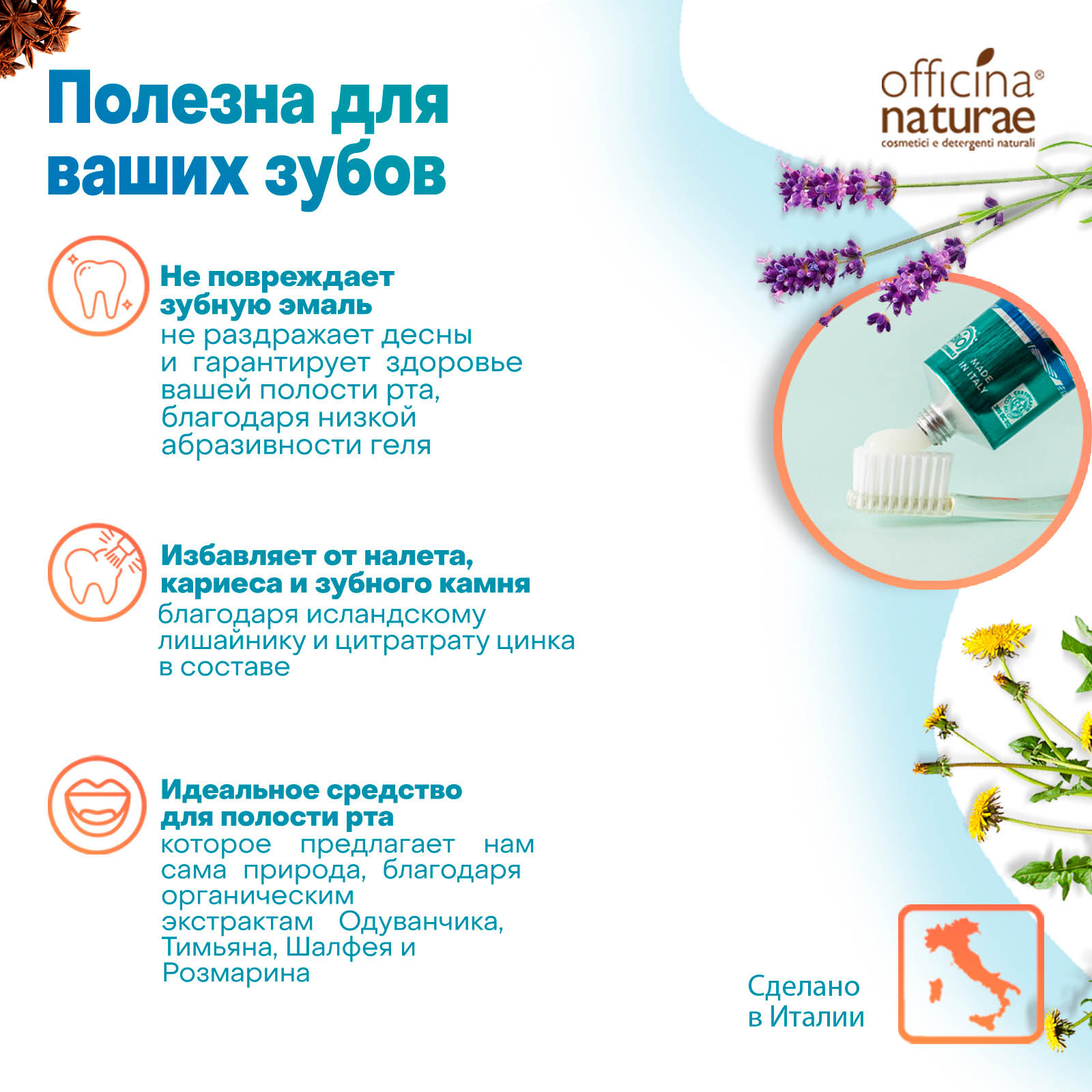 Зубная паста Officina Naturae Натуральная без фтора со вкусом аниса для взрослых 75 мл - фото 3