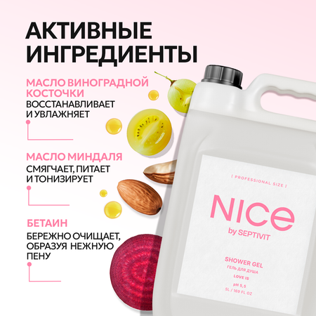 Гель для душа NICE by Septivit Love is 5л