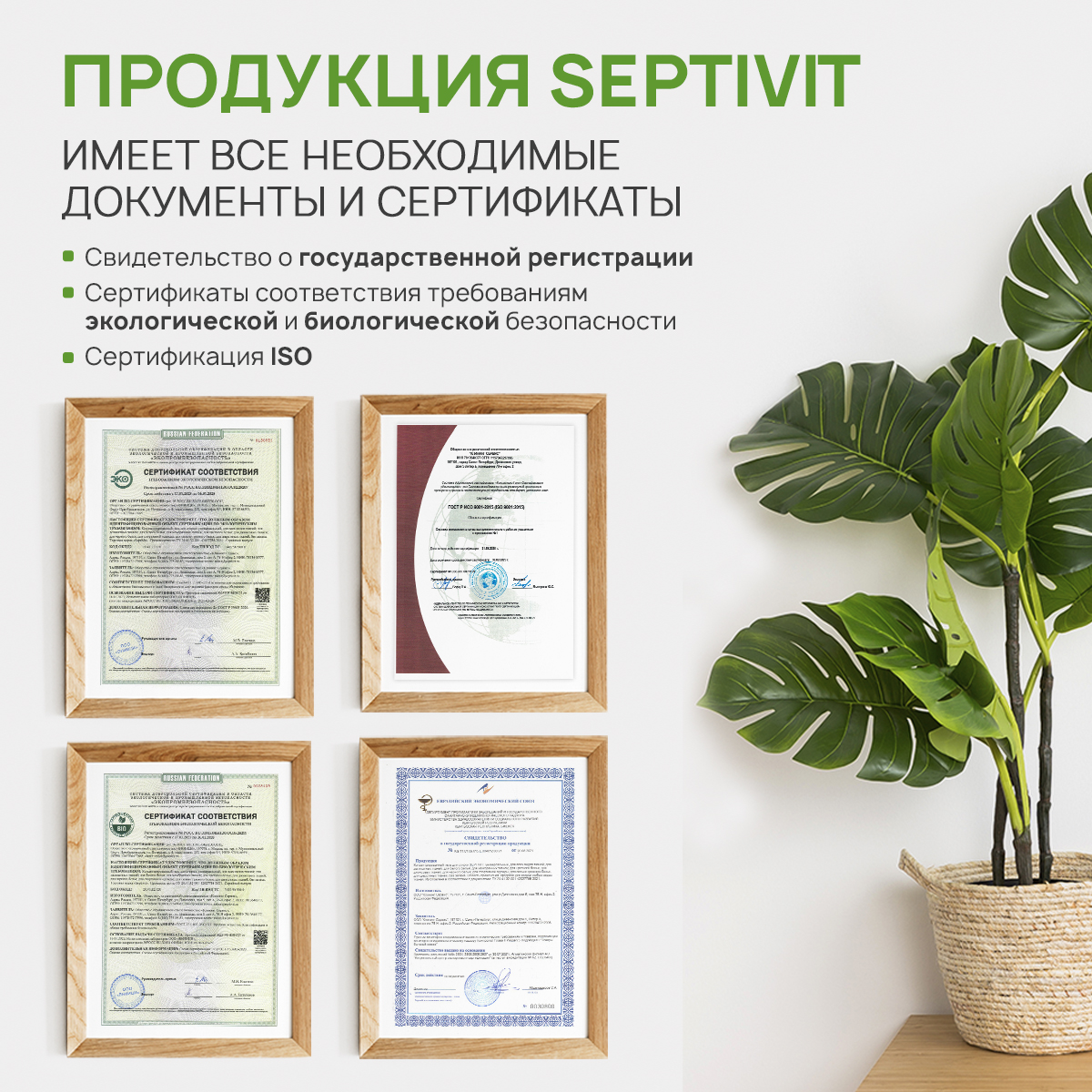 Средство для мытья посуды SEPTIVIT Premium Альпийская мята 1л - фото 10