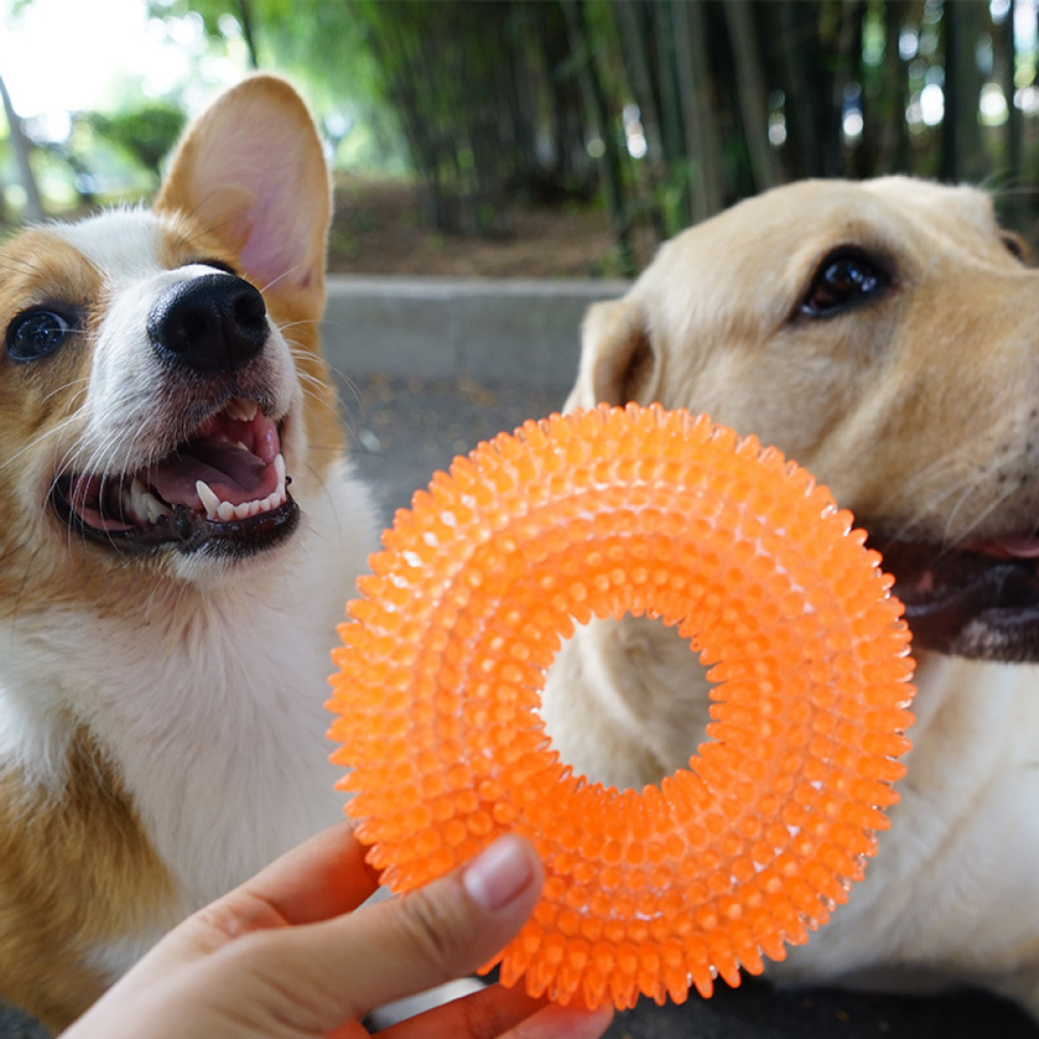 Игрушка для собак ZDK кольцо Кристалл оранжевый ZooWell - фото 7