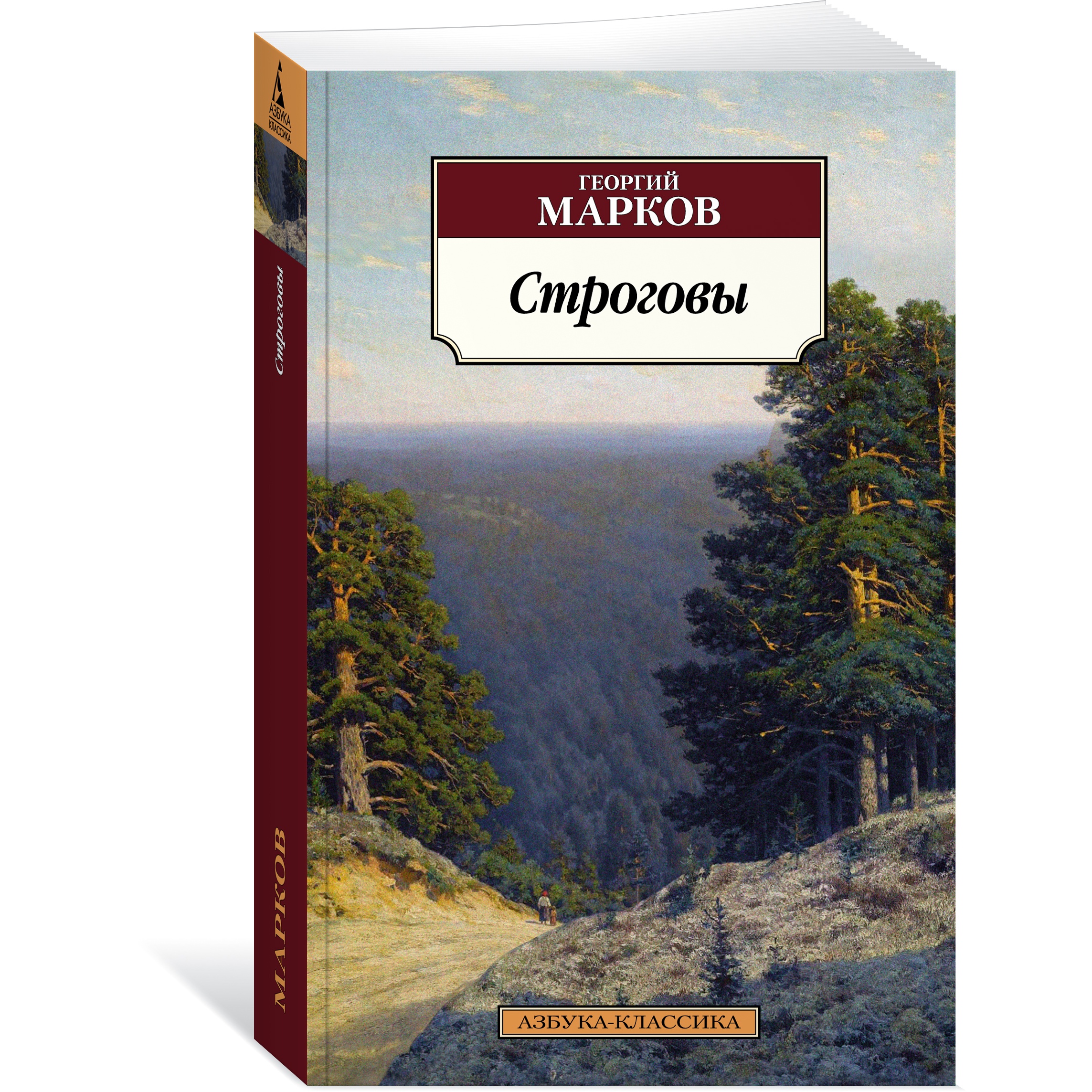 Книга АЗБУКА Строговы - фото 2