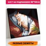 Картина по номерам Hobby Paint Грустный котик 40х50 см