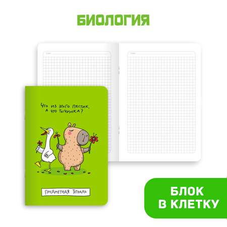 Тетрадь Проф-Пресс в клетку в линию 40 л А5 набор из 4 шт Школа в тренде Математика+химия физика+биология+русс. язык