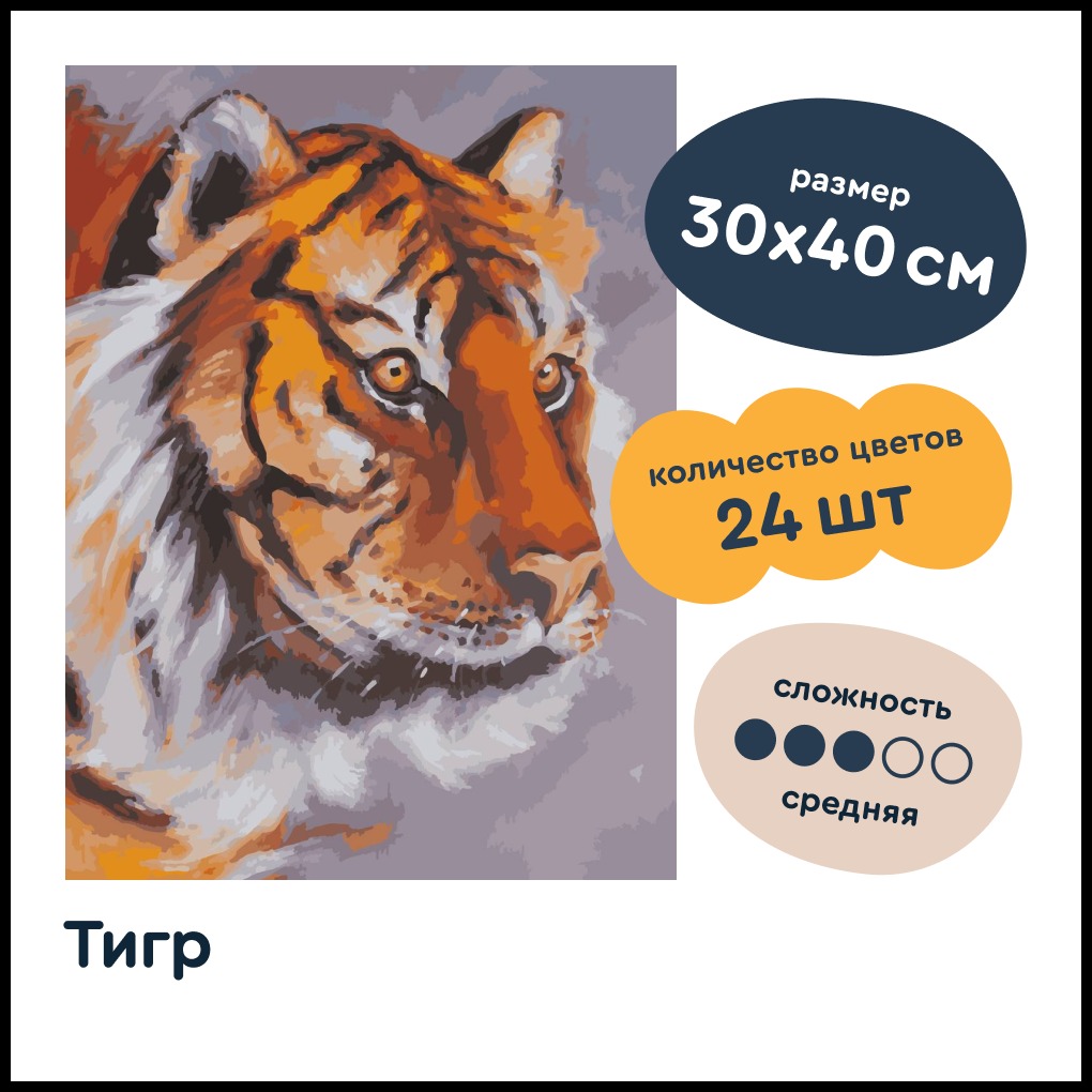 Авторская картина по номерам на холсте Junion Creative тигр 30х40 см - фото 2