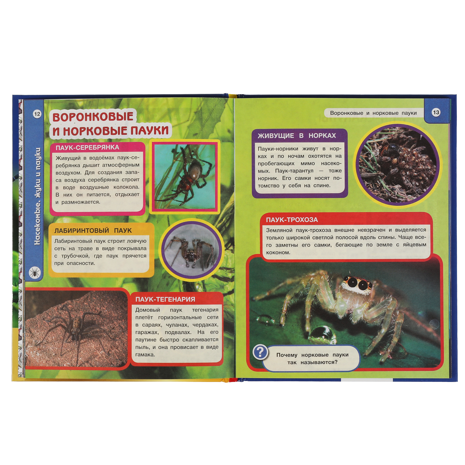 Книга УМка Насекомые жуки и пауки. Хочу все знать. Энциклопедия А5 - фото 4