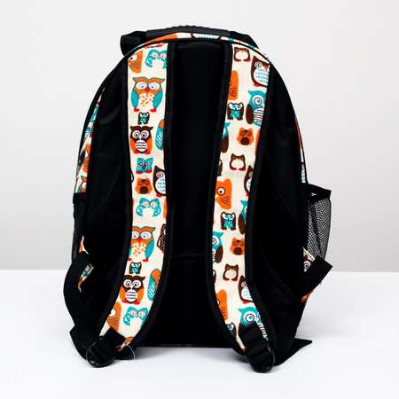 Рюкзак для переноски животных Пижон прозрачный «Совинные мордочки» 31*28*42 см