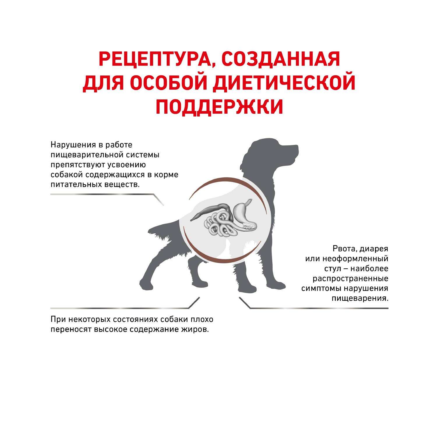 Корм для собак ROYAL CANIN Gastro Intestinal Low Fat LF22 при нарушении пищеварения с ограниченным содержанием жиров 1.5кг - фото 2