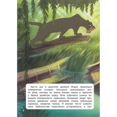 Книга Эксмо джунглей История Маугли Книга для чтения с цветными картинками