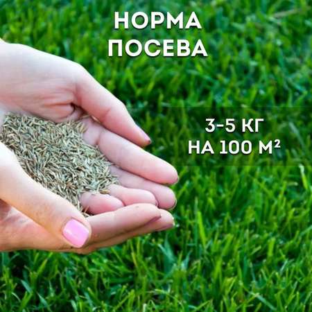 Семена газона Зеленый уголок травосмесь Теневая 0.5кг