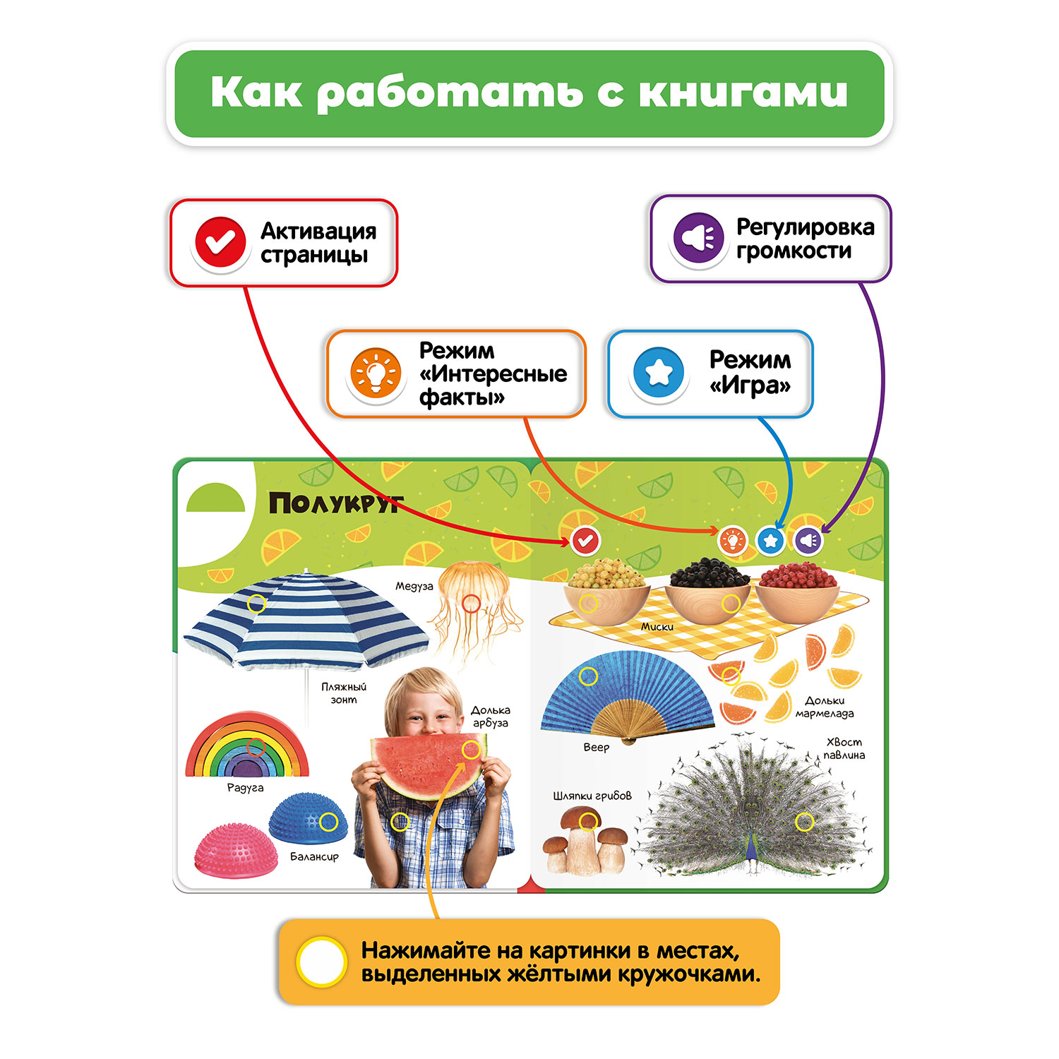 Комплект говорящих книжек BertToys Нажималки: Животные + Формы - фото 5