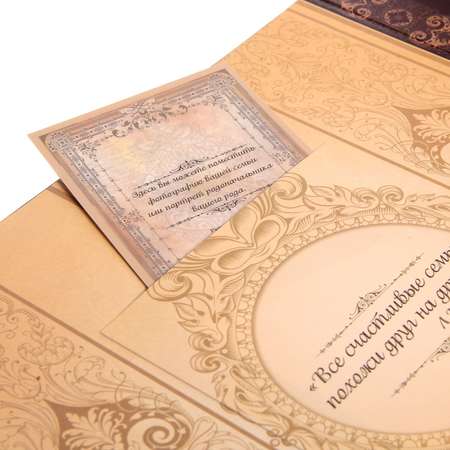 Родословная книга Sima-Land с рамкой под фото «Родословная » 50 листов 21.5 х 23.7 см