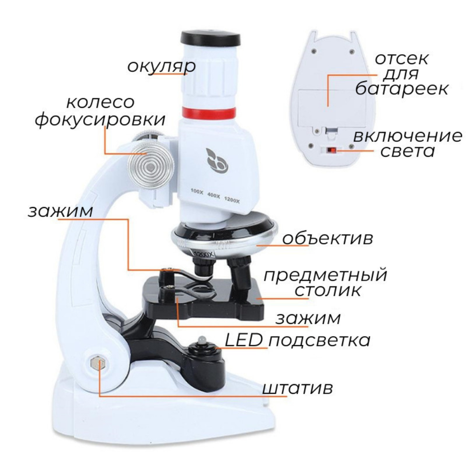 Детский микроскоп MagicStyle набор для опытов с держателем для смартфона и подсветкой - фото 7