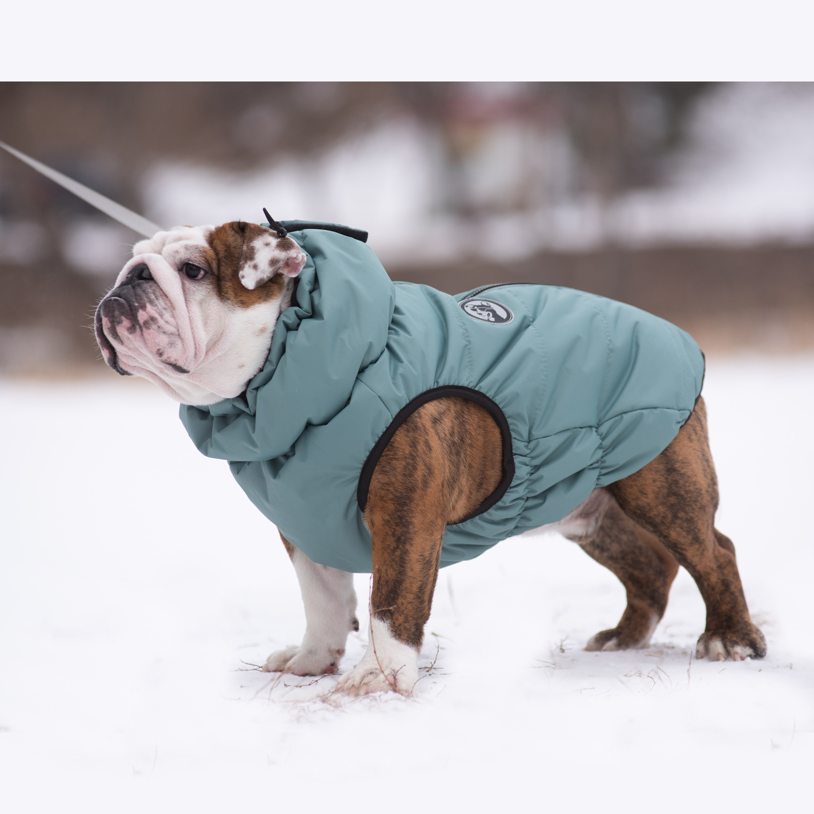 Жилет для собак Rain Dog - фото 4