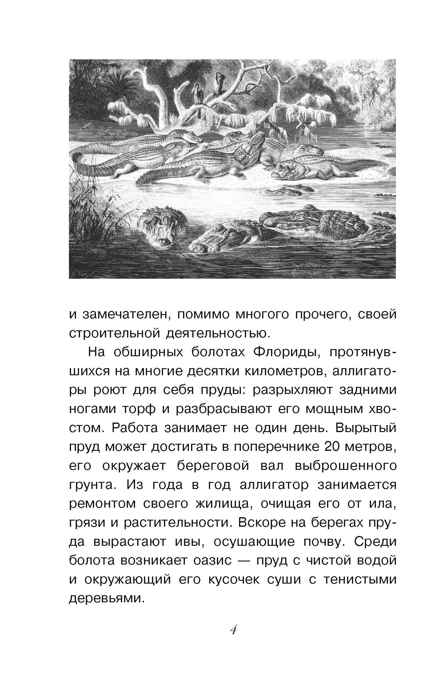 Энциклопедия Простая наука для детей 100 загадок живой природы - фото 4