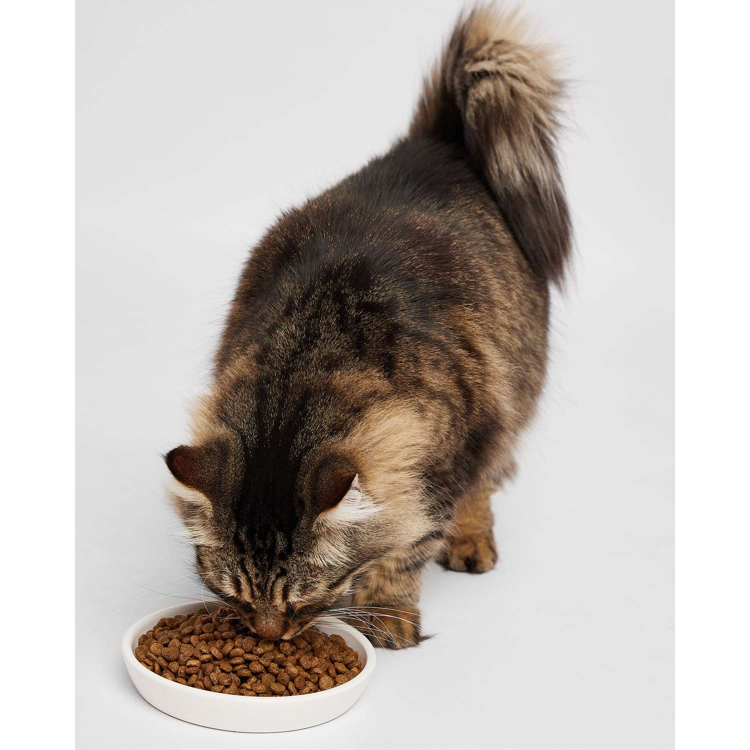 Корм для кошек Harty 1.8кг для чувствительного пищеварения с лососем сухой - фото 8