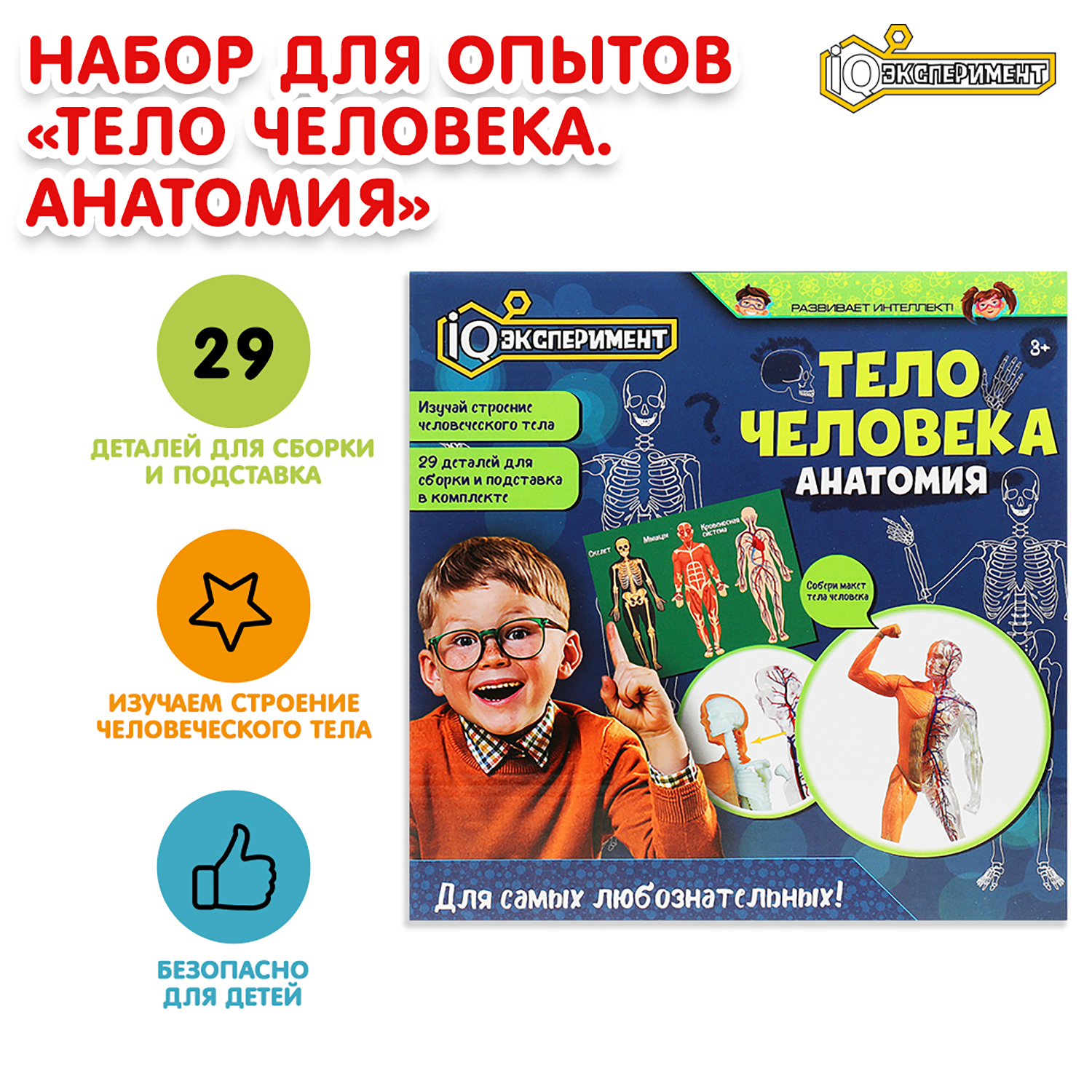 Игрушка Играем вместе Опыты Тело человека 369089 - фото 1