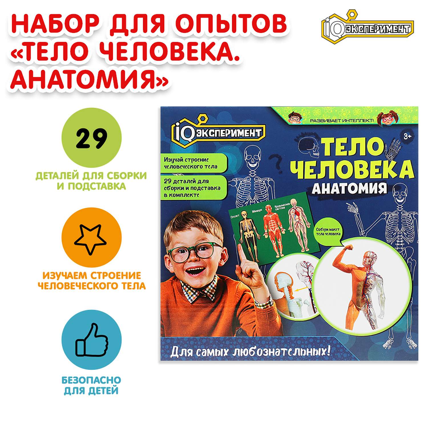 Игрушка Играем вместе Опыты Тело человека 369089 - фото 1