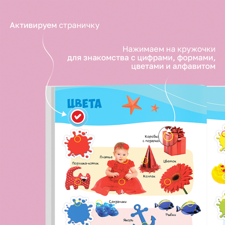 Говорящая книжка BertToys большая нажималка Первые знания