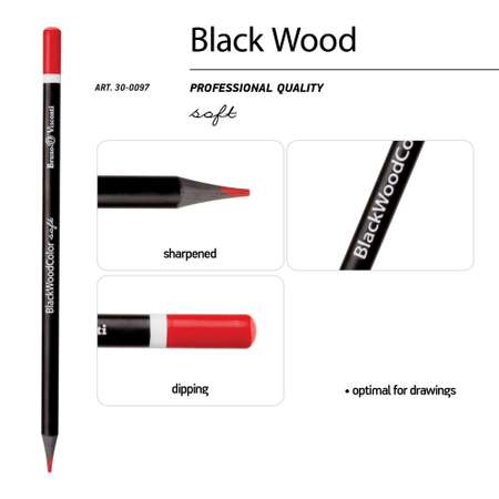 Карандаши цветные Bruno Visconti BlackWoodColor 12 цветов пластиковые