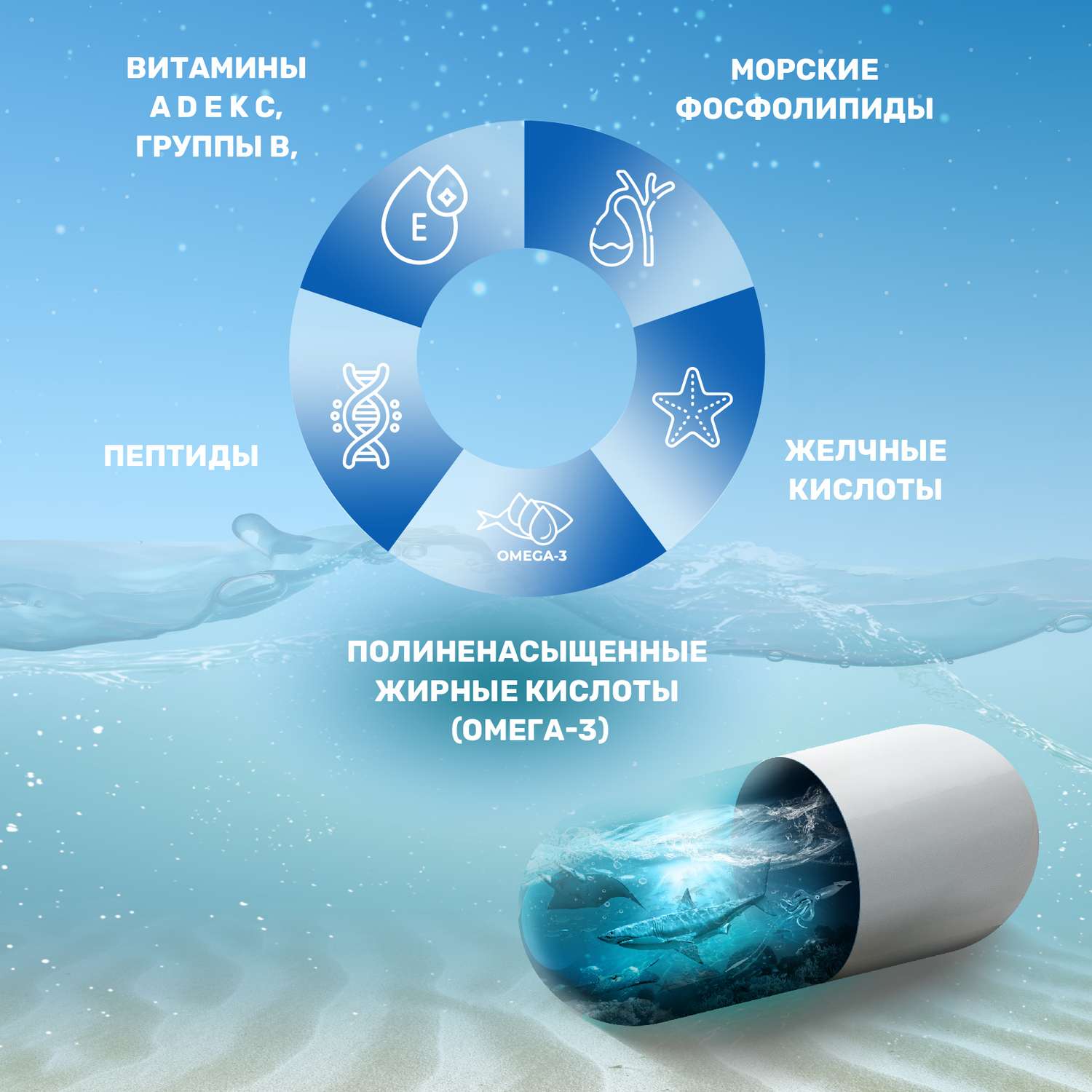 Гепамарин Доктор Море Морские фосфолипиды для печени 120 капсул - фото 2
