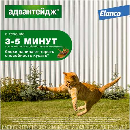 Препарат инсектоакарицидный для кошек Elanco Адвантейдж 0.8мл 4пипетки