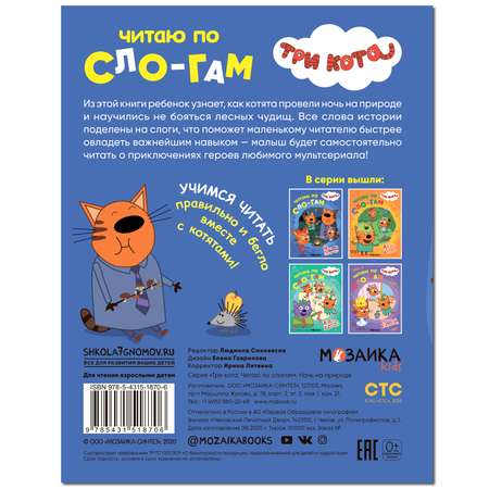 Книга МОЗАИКА kids Три кота Ночь на природе