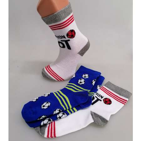 Носки 2 пары Master Socks