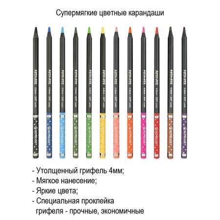 Карандаши цветные ACMELIAE Blackwood Artmate 12 цветов в металлическом футляре