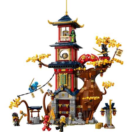 Конструктор LEGO Ninjago Temple of the Dragon Energy Cores 71795