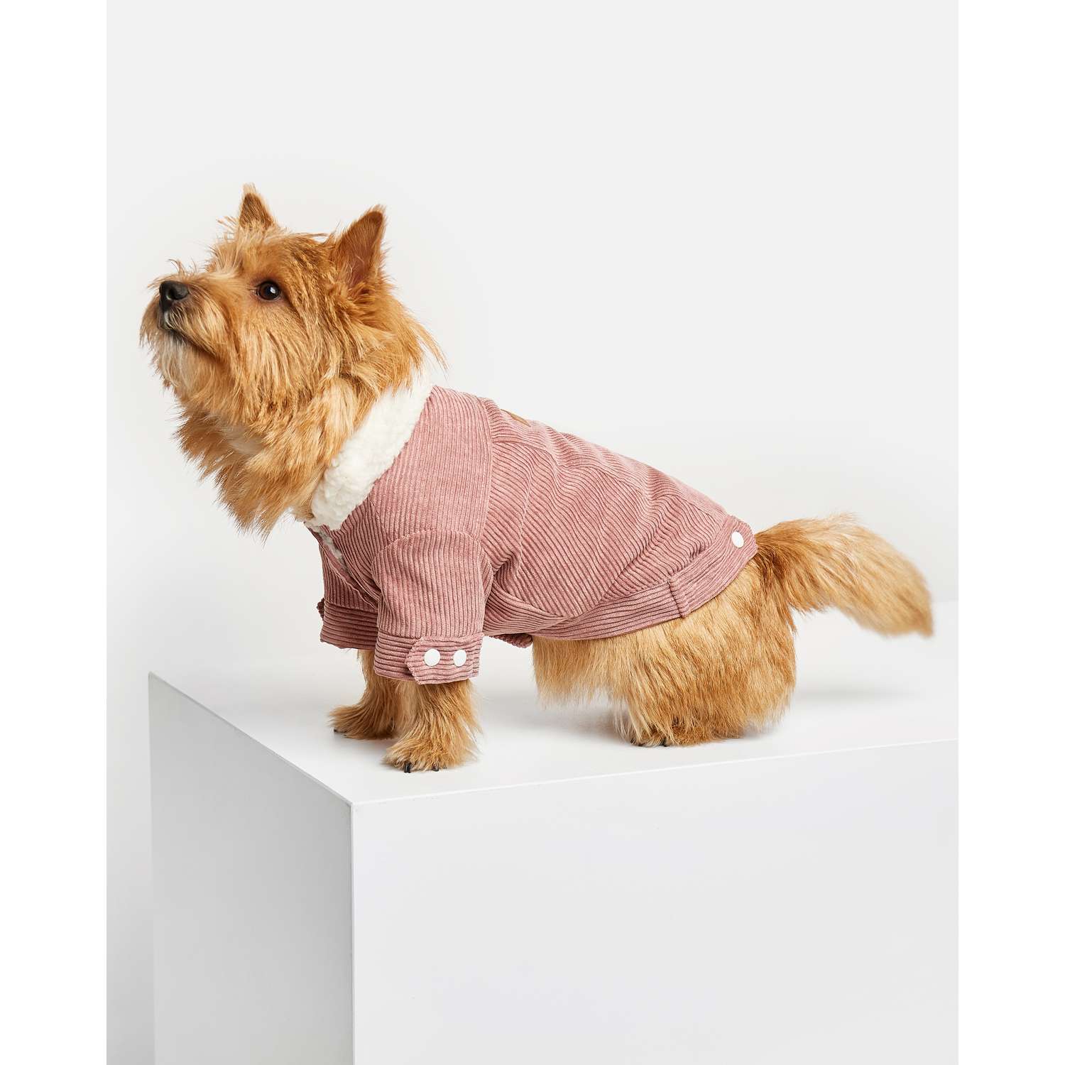Куртка для собак Зоозавр розовая 25 - фото 7