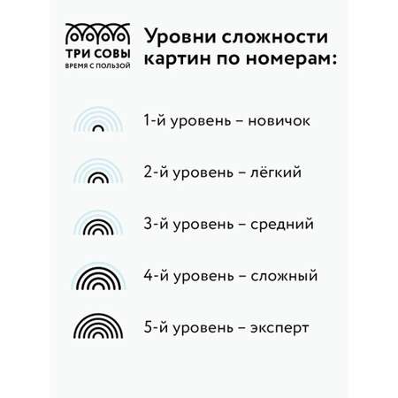 Картина по номерам ТРИ СОВЫ на картоне Любовь 30*40 с акриловыми красками и кистями