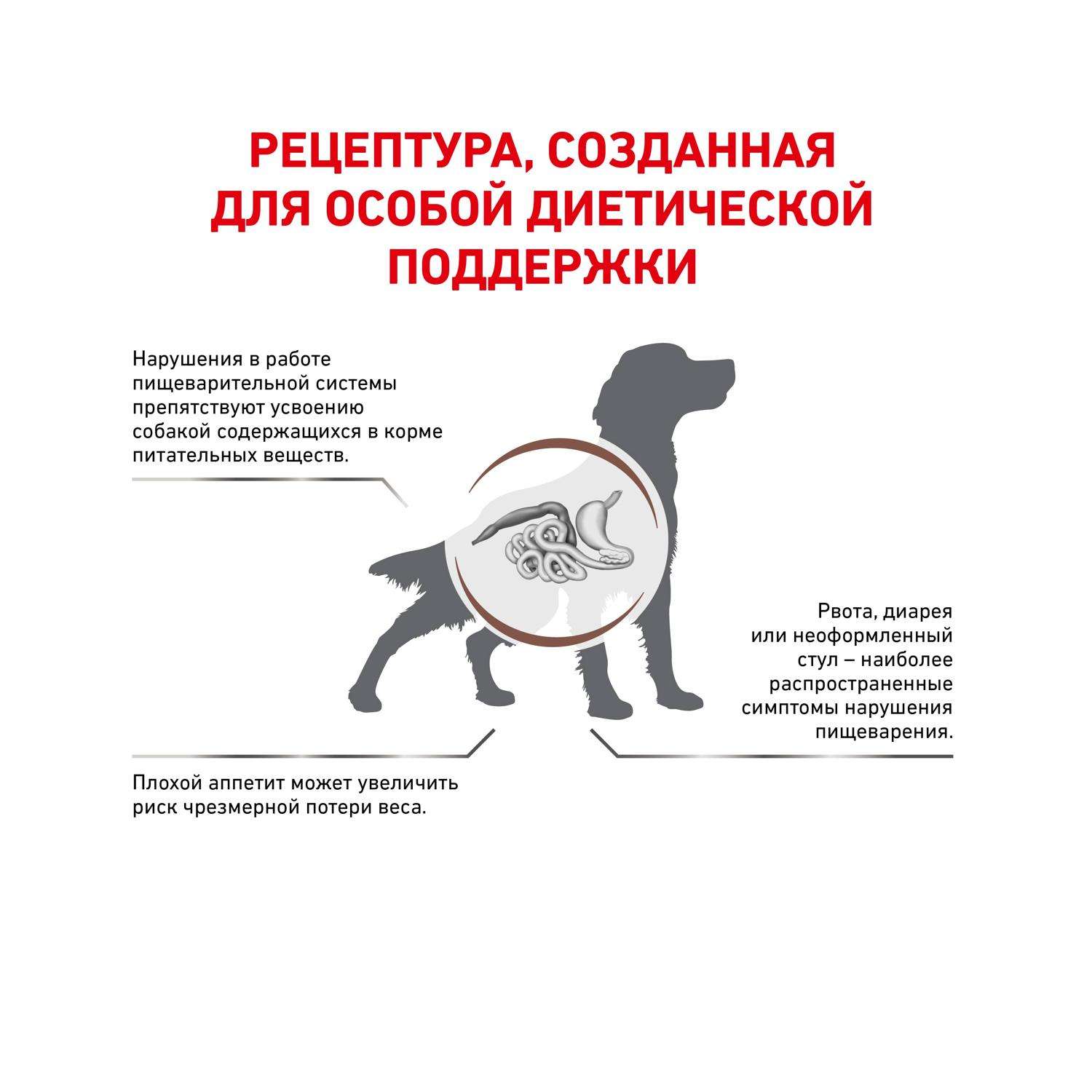 Корм для собак ROYAL CANIN Gastro Intestinal GI25 при нарушениях пищеварения 2кг - фото 2