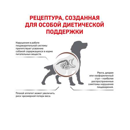 Корм для собак ROYAL CANIN Gastro Intestinal GI25 при нарушениях пищеварения 2кг