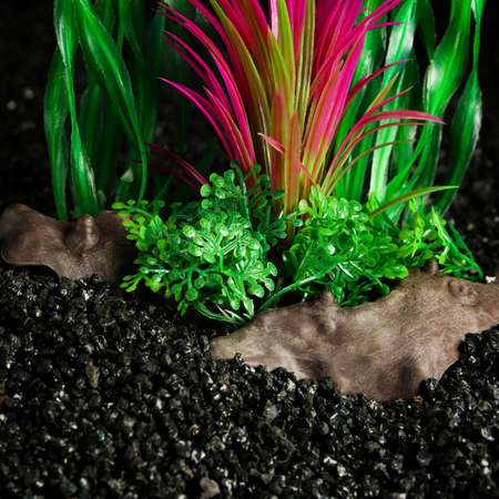 Растение для аквариума Пижон Аква на платформе в виде коряги 30 см зелёное