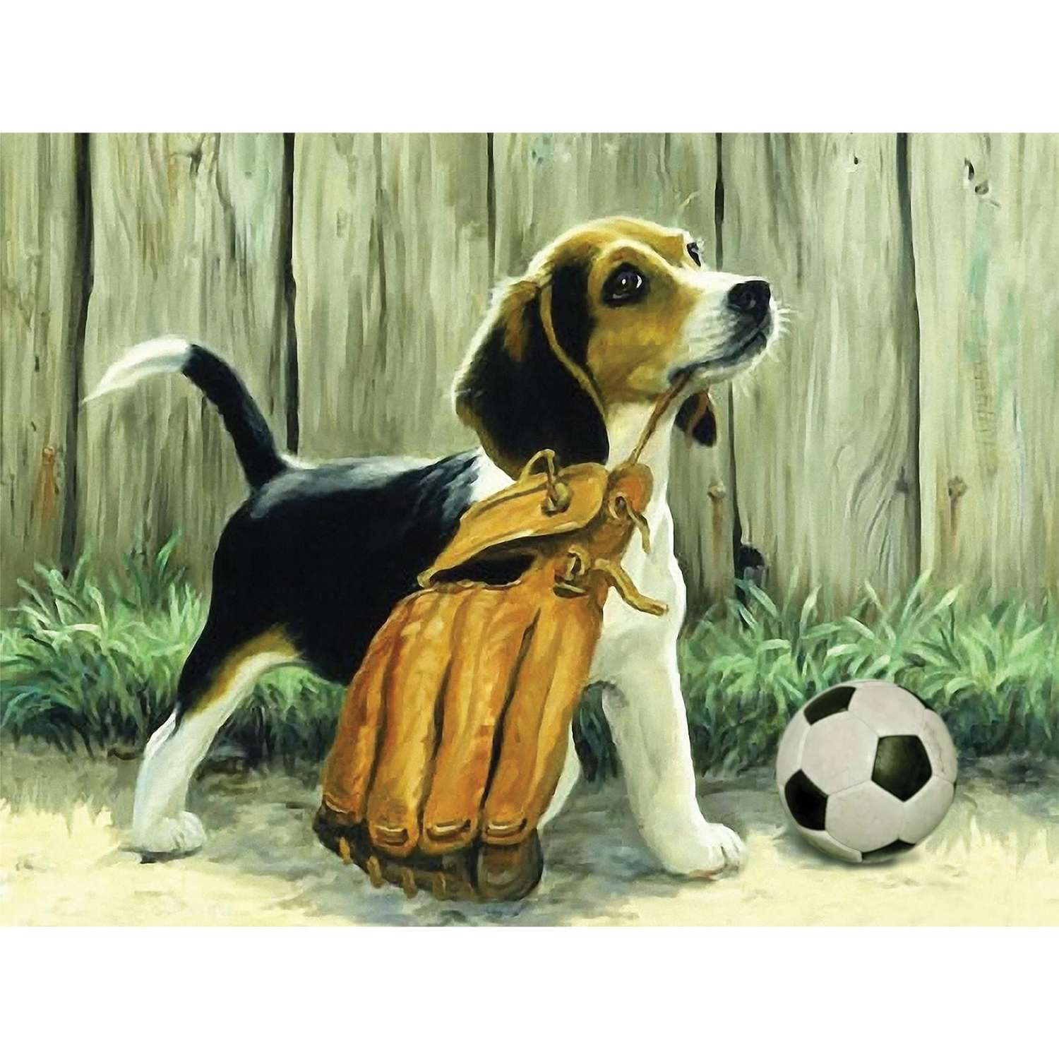 Алмазная вышивка Школа Талантов на раме Пёс с мячом с частичным заполнением - фото 1