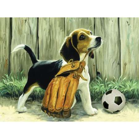 Алмазная вышивка Школа Талантов на раме Пёс с мячом с частичным заполнением